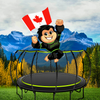 Jumpflex® in Canada! Jumpflex Trampolines now available!